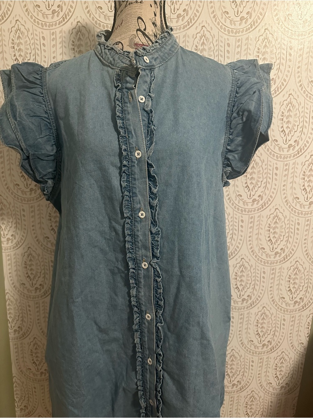 Women’s Ruffle-Trim Button Front Dress - Blue - Picture 2 of 4